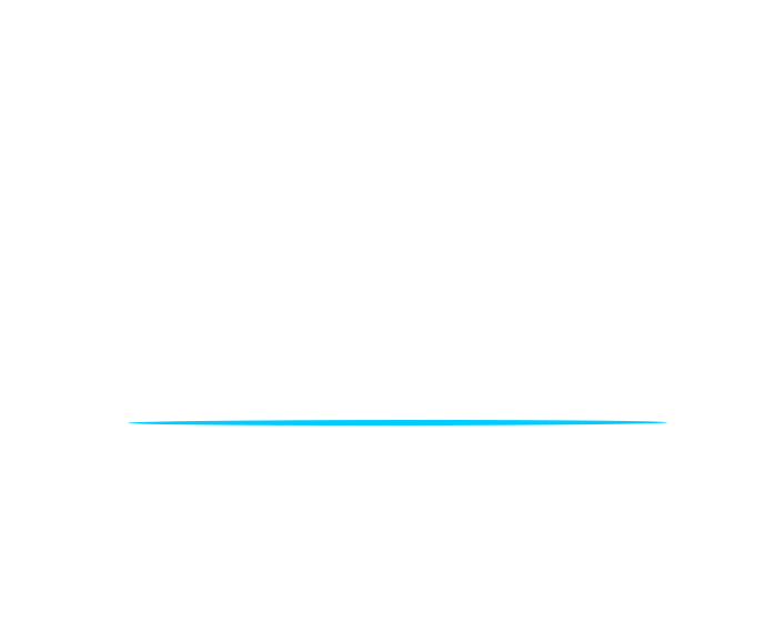 Fidipix Logo