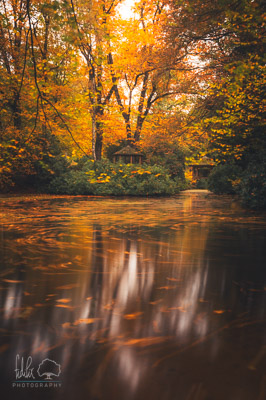 Herbst Tempel