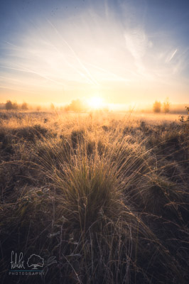 Sonnenaufgang