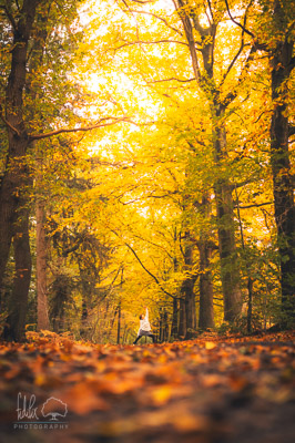 Yoga im Herbst